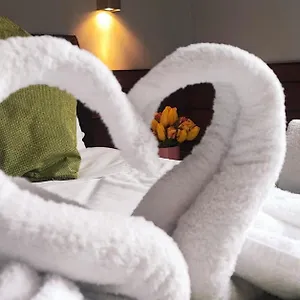 Romalive Guest house